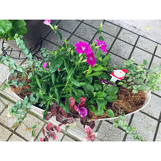 CoCo0617さんの実例写真