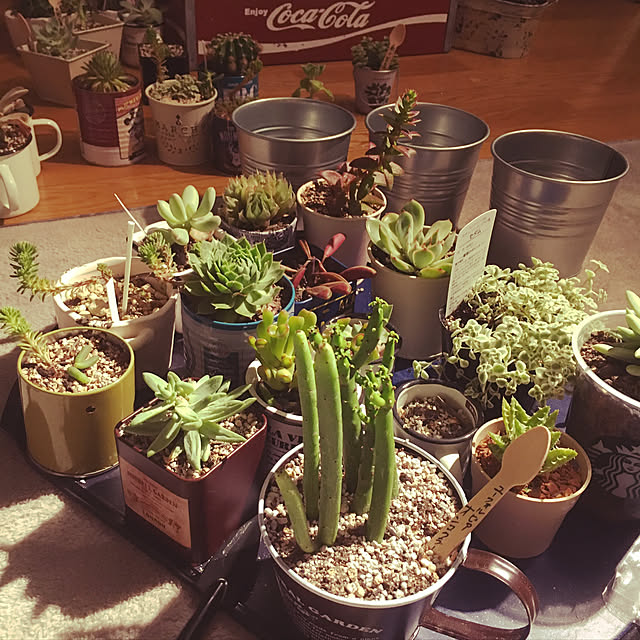 cafelapinさんの実例写真