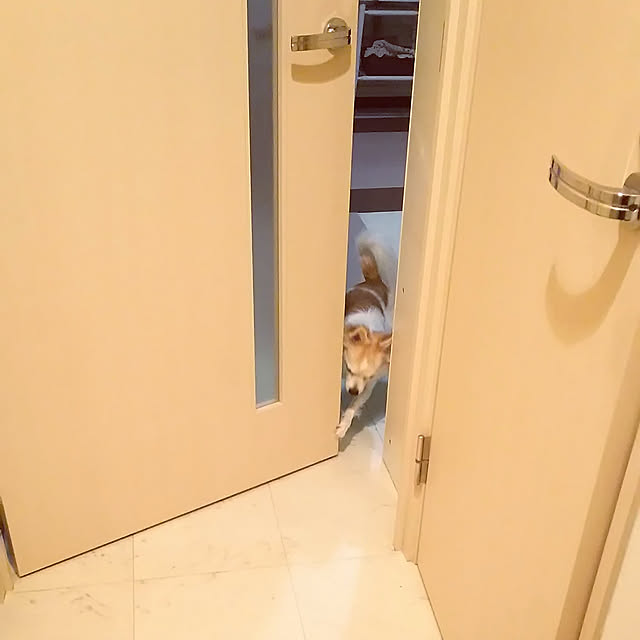 nonさんの実例写真