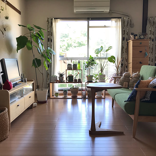 Shizuku-sanさんの実例写真