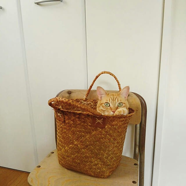 mayutan.さんの実例写真