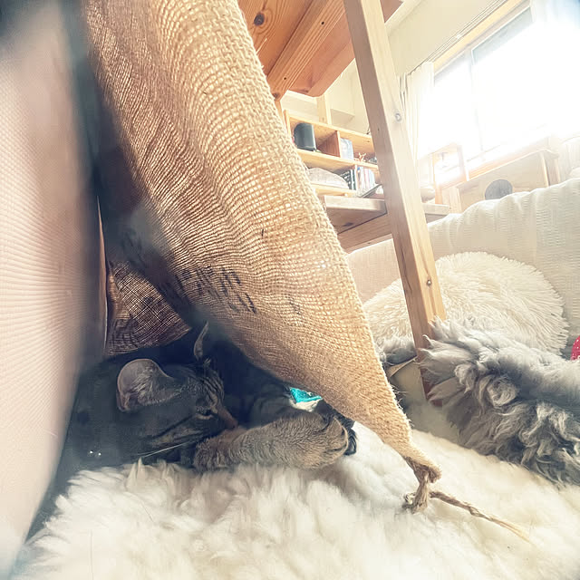 Mさんの部屋