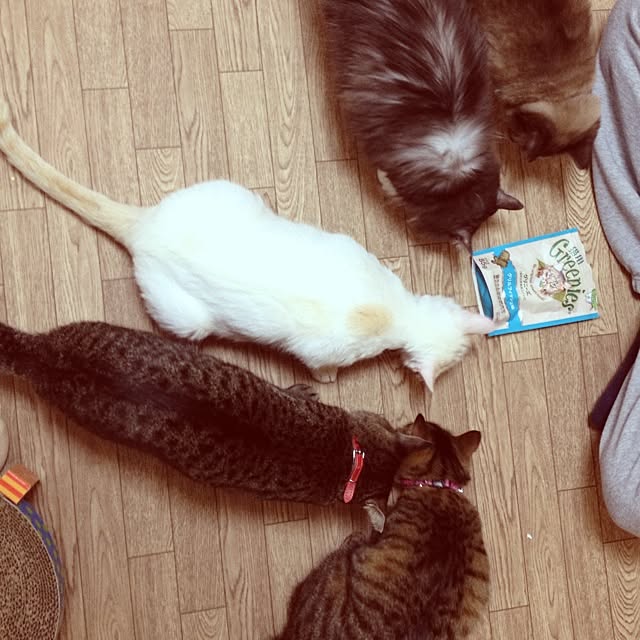 Tamakiさんの実例写真