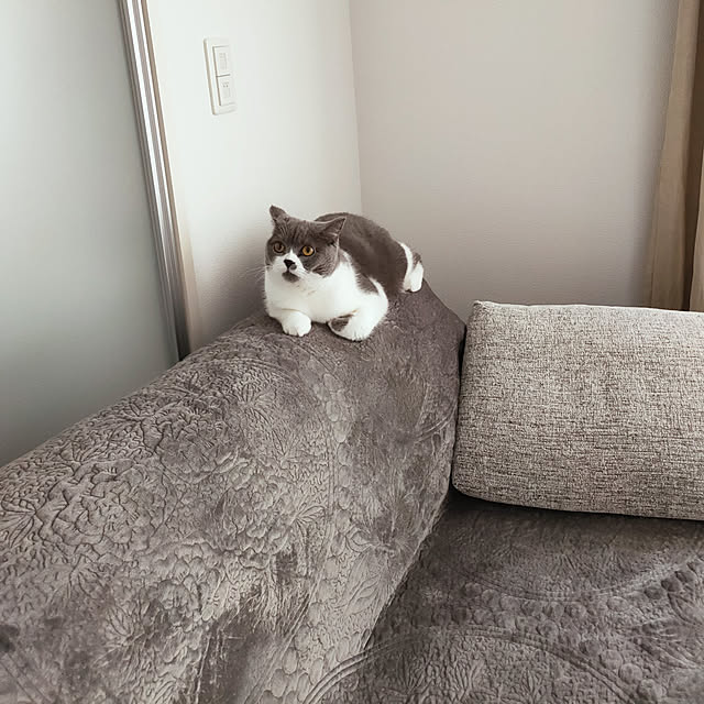 KEIKOさんの実例写真