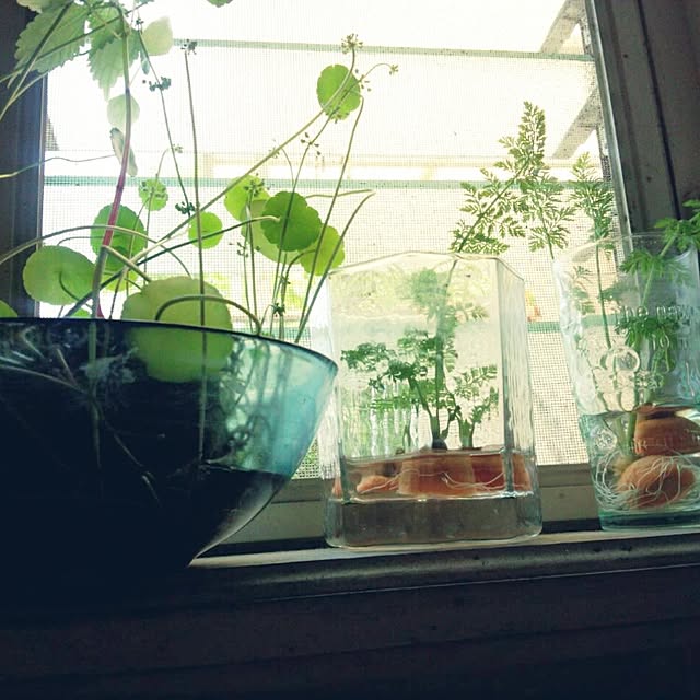 puku.さんの実例写真
