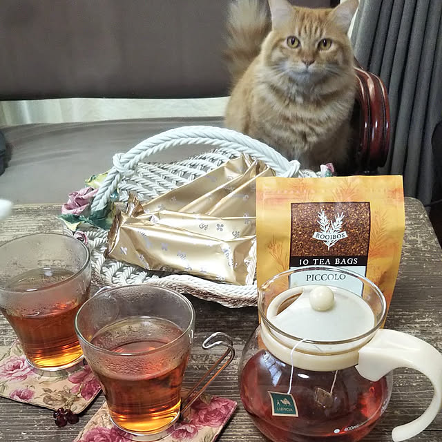 gabさんの実例写真