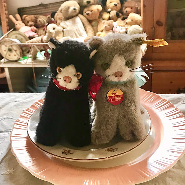 teddyさんの実例写真