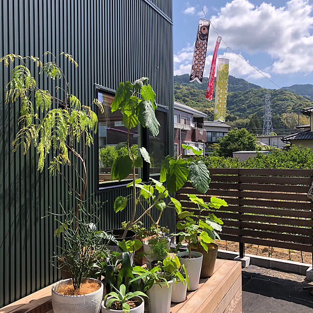 poa.t_hさんの部屋