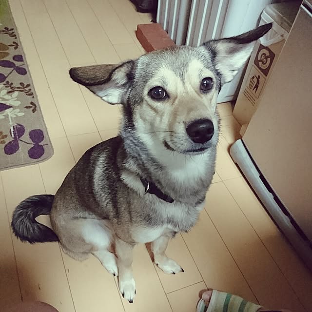 andさんの実例写真