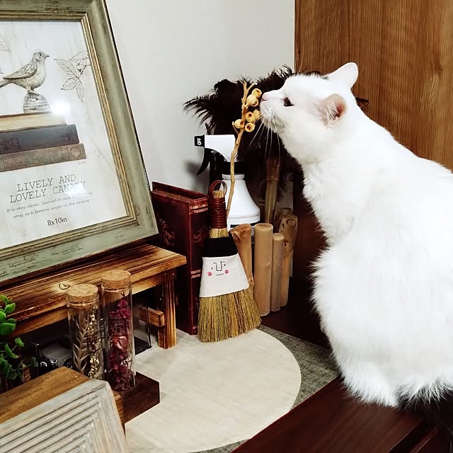 MIPORINNさんの実例写真