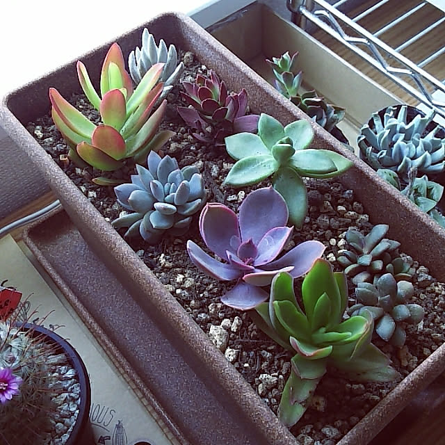 akimama56.3110さんの実例写真