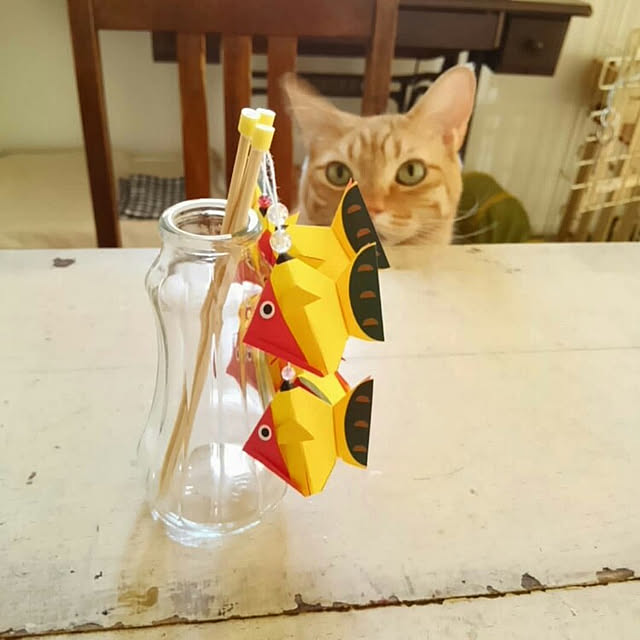 mayutan.さんの実例写真