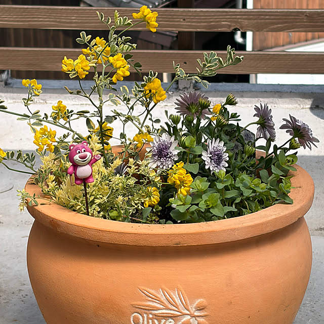 monasanさんの実例写真