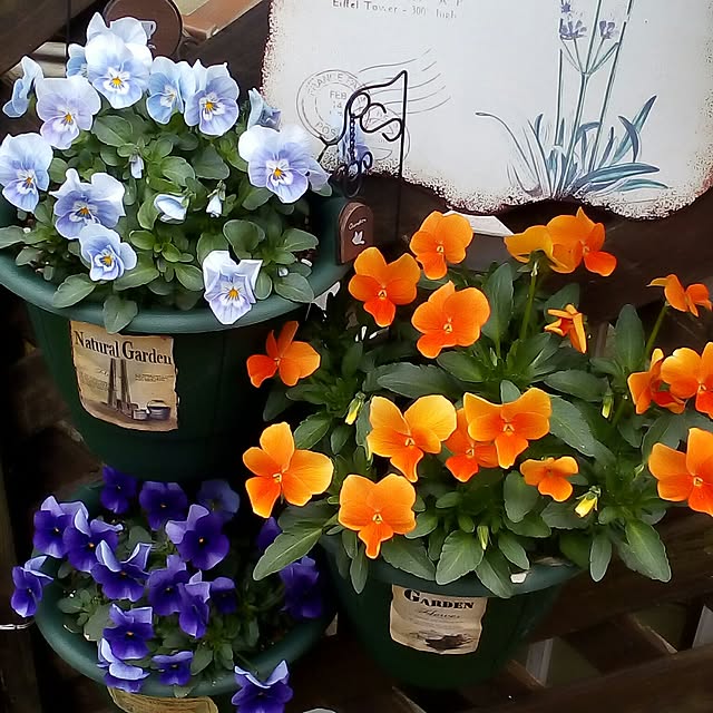 mariagardenさんの実例写真