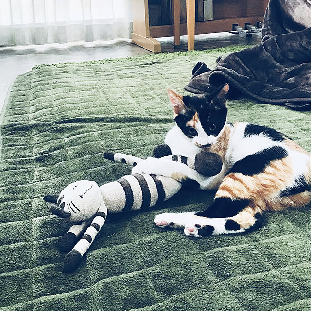 maroさんの実例写真