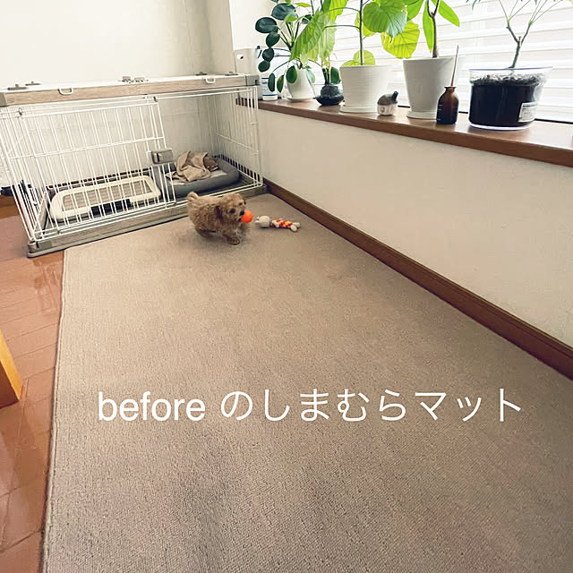kawauso15さんの部屋