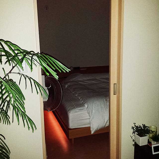 bongさんの実例写真