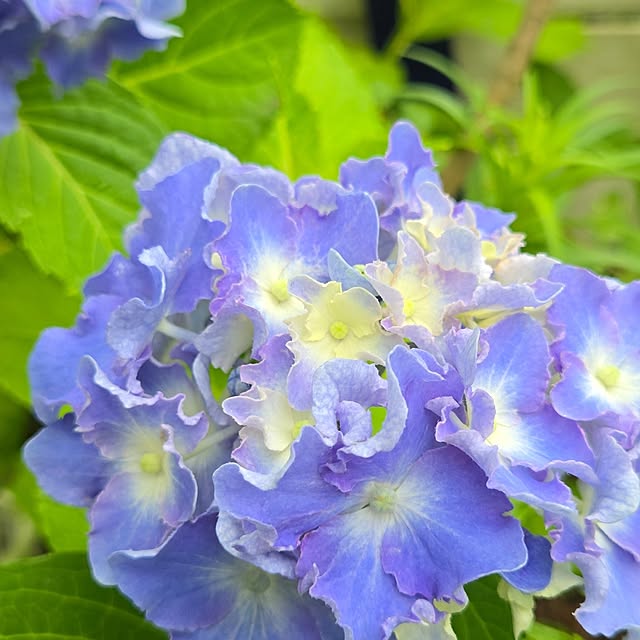 min_nimさんの実例写真