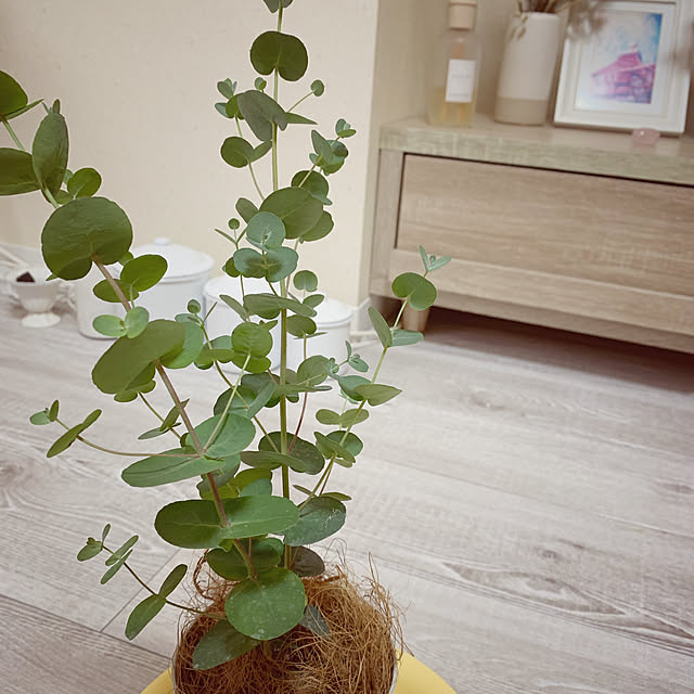 lifestyle0303さんの実例写真