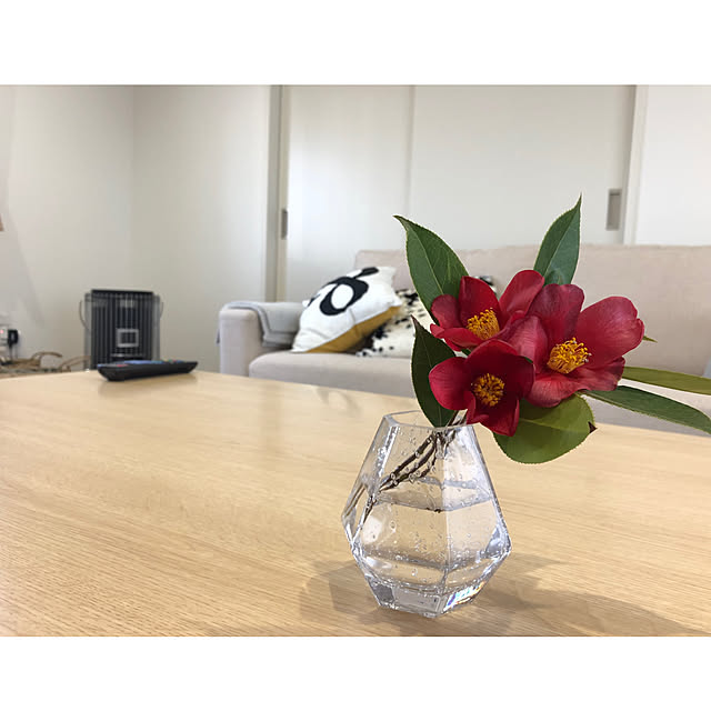 a..yaさんの実例写真