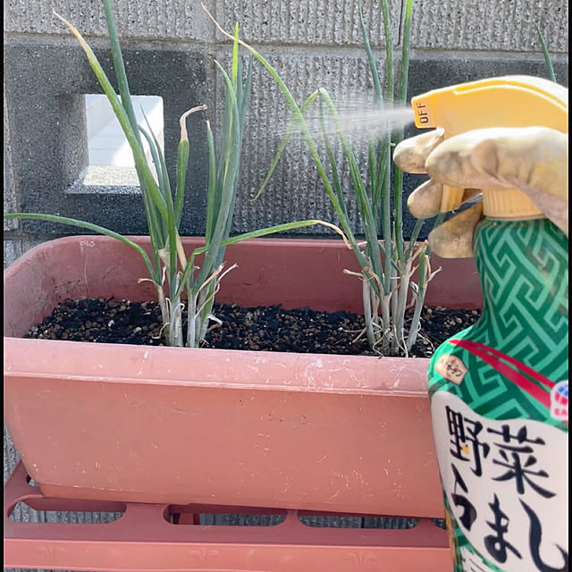 asuさんの実例写真