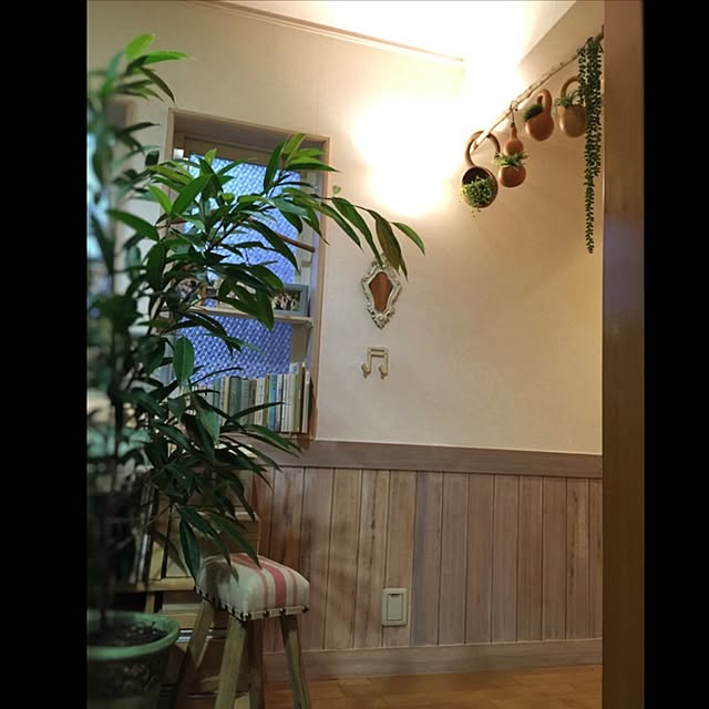 satochanさんの実例写真