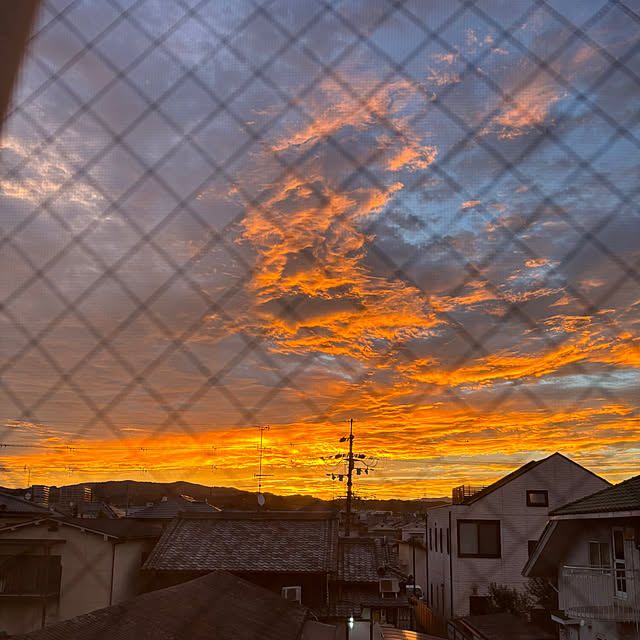 rintarotantan7さんの実例写真