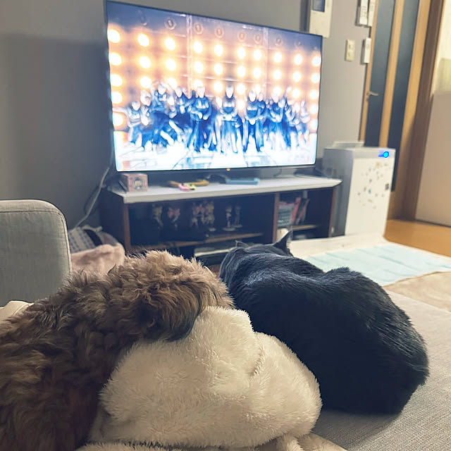 kanaさんの実例写真