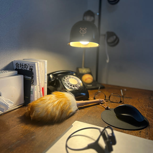 momosan_toさんの実例写真