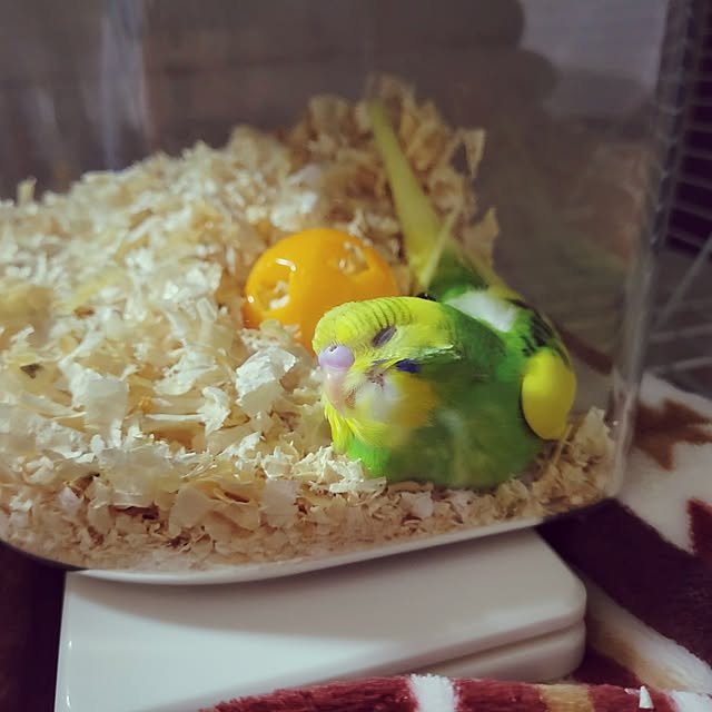 nanaさんの部屋