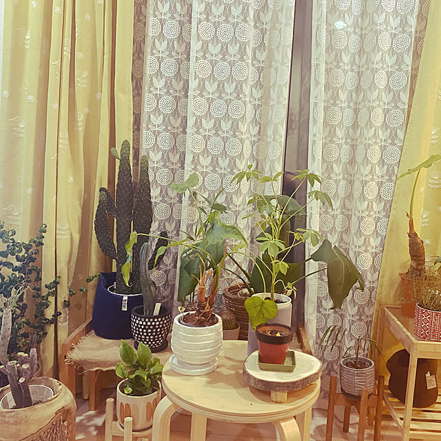 rastaice1027さんの実例写真