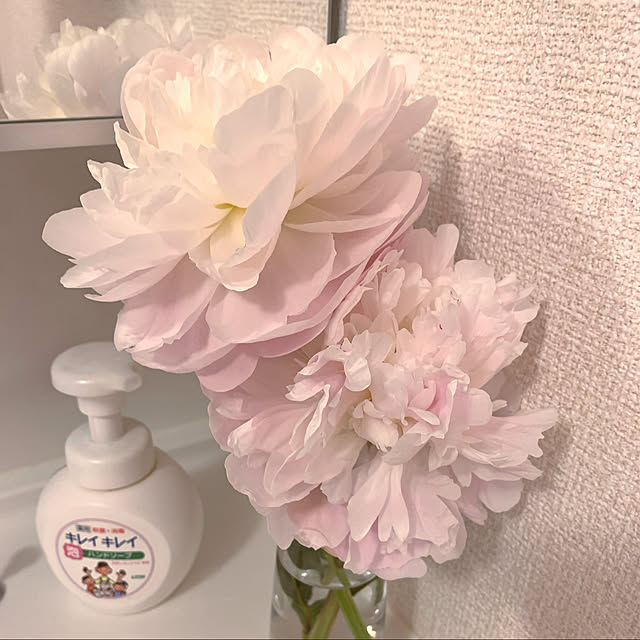 Yukiさんの実例写真