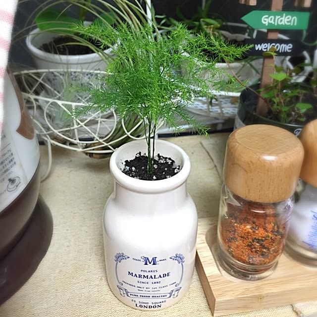 AzusAさんの実例写真