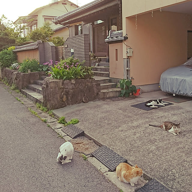 uchizukonyanさんの実例写真