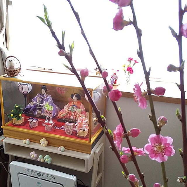 25Moondropsさんの実例写真