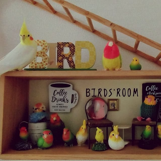 toratanさんの部屋