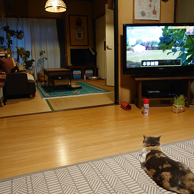 fukuさんの実例写真