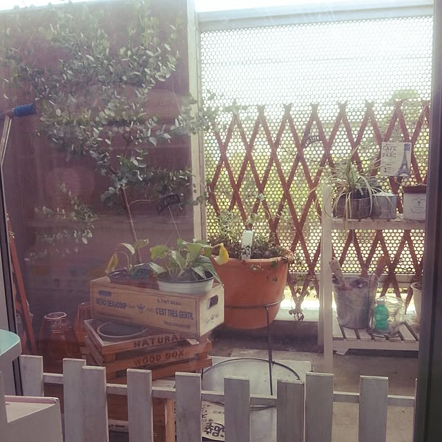 Yuukiさんの実例写真