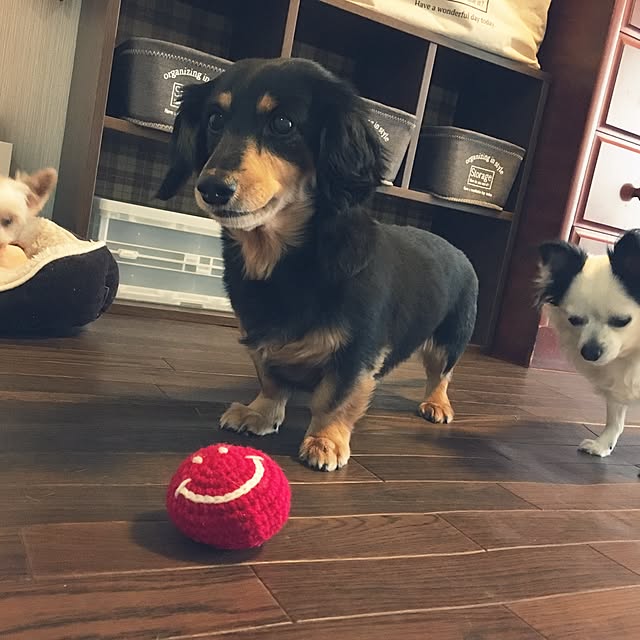 ohanaさんの実例写真