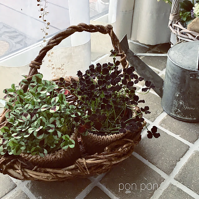 ponponHOUSEさんの実例写真