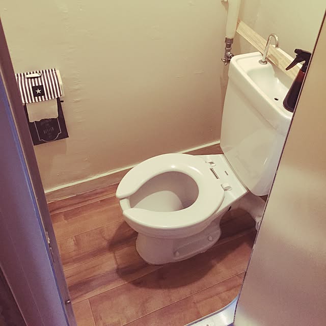 momoirousagiさんの実例写真