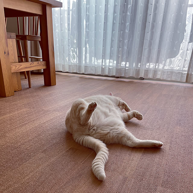 hiyupan88さんの実例写真
