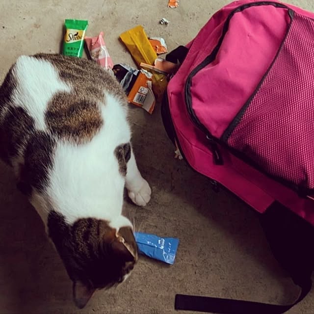 kikuさんの部屋