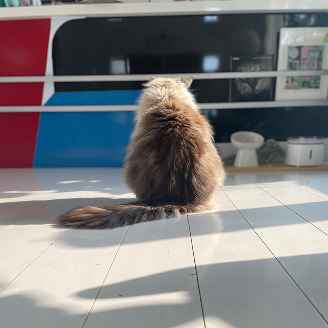 nonononakaさんの実例写真