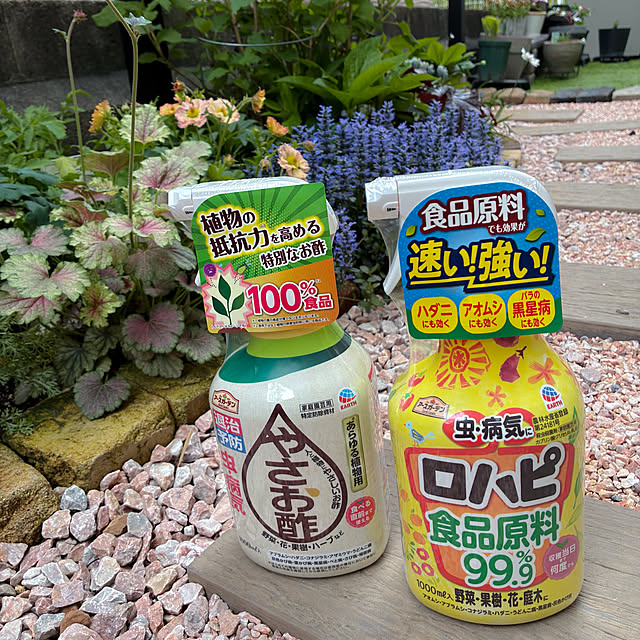 komeさんの実例写真