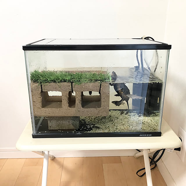 azureさんの実例写真