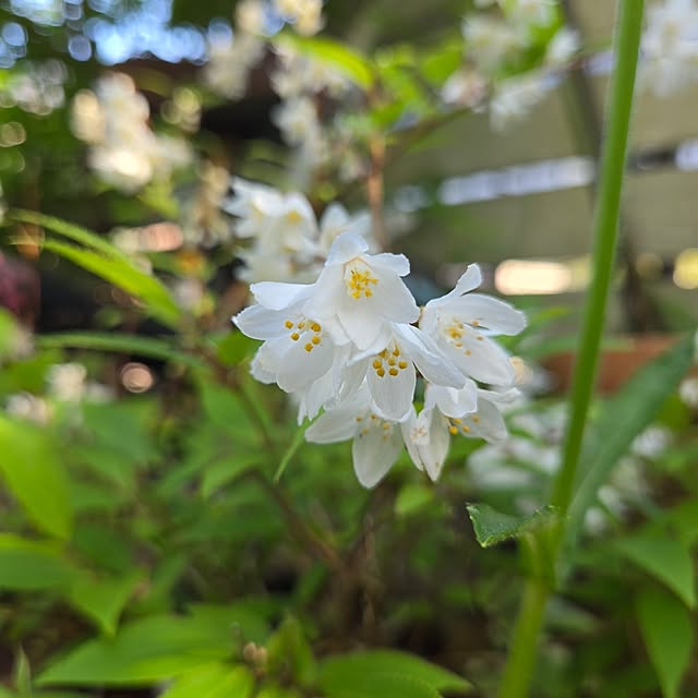 min_nimさんの部屋