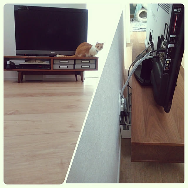 Yさんの実例写真