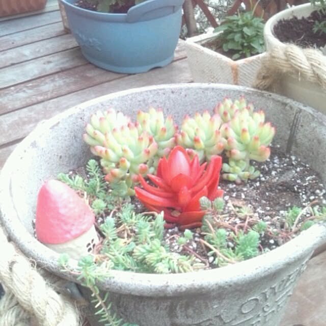 asa0521さんの実例写真