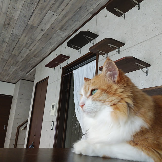 annさんの実例写真